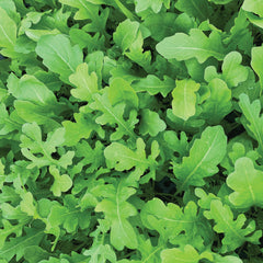 Uber Arugula