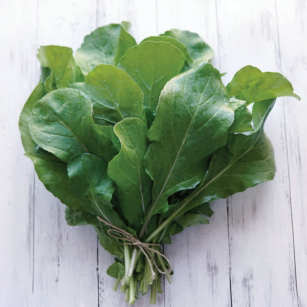 Roquette Arugula