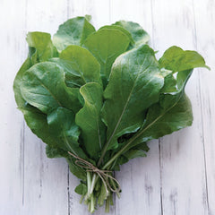 Roquette Arugula