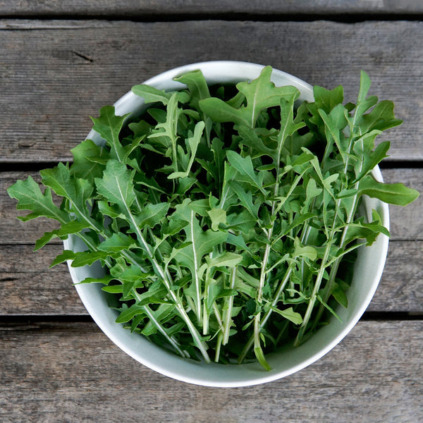 Speedy Arugula