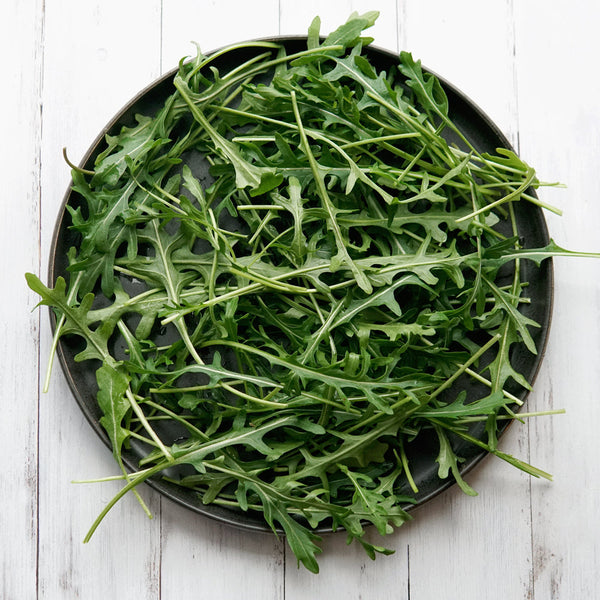 Bellezia Arugula