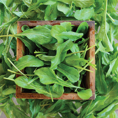 Balboa Arugula