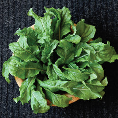 Green Brigade Arugula