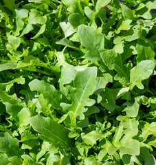 Bellezia Organic