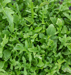 Bellezia Organic