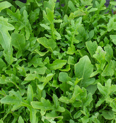 Bellezia Organic