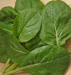 Komatsuna Green