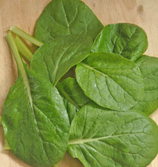 Komatsuna Green