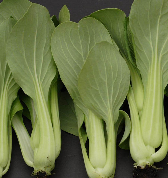 Mei Qing Choi F1