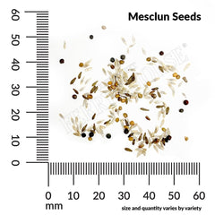 Mesclun, Gourmet Greens Mixture Organic Seeds, 1.8g