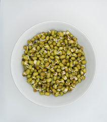 Mung Beans Organic - Seedsplant