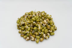 Mung Beans Organic - Seedsplant