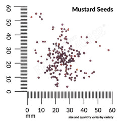 Mustard, India Florida Broadleaf Seeds, 2.5g