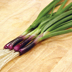 Red Baron Onion