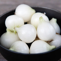 Pacific Pearl Onion