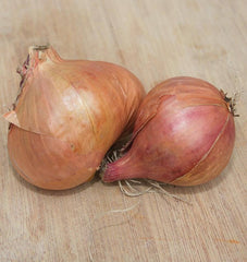 Conservor F1 Organic