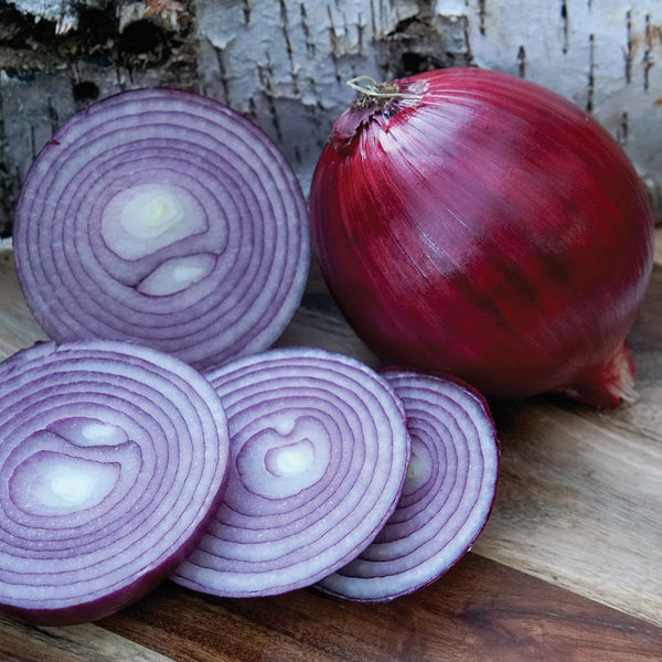 Red Mountain Onion