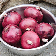 Monastrell Onion
