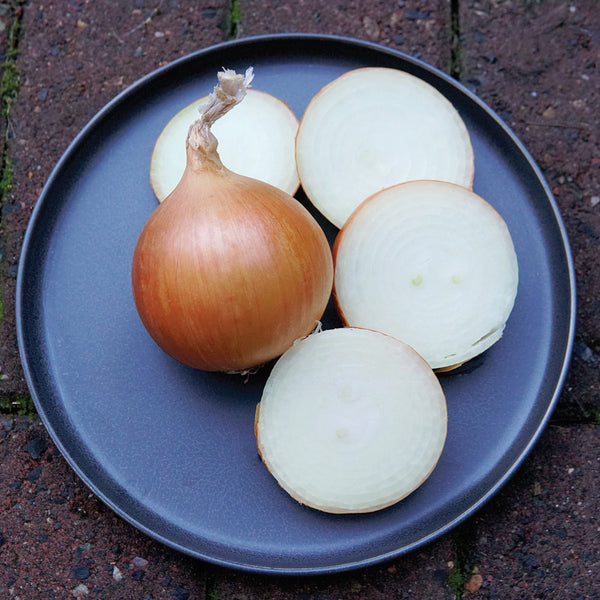 Cartier Onion
