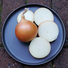 Cartier Onion