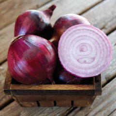 Red Spring Onion