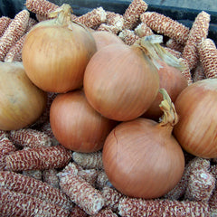 Talon Onion