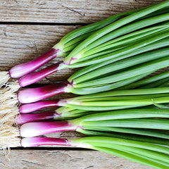 Apache Onion
