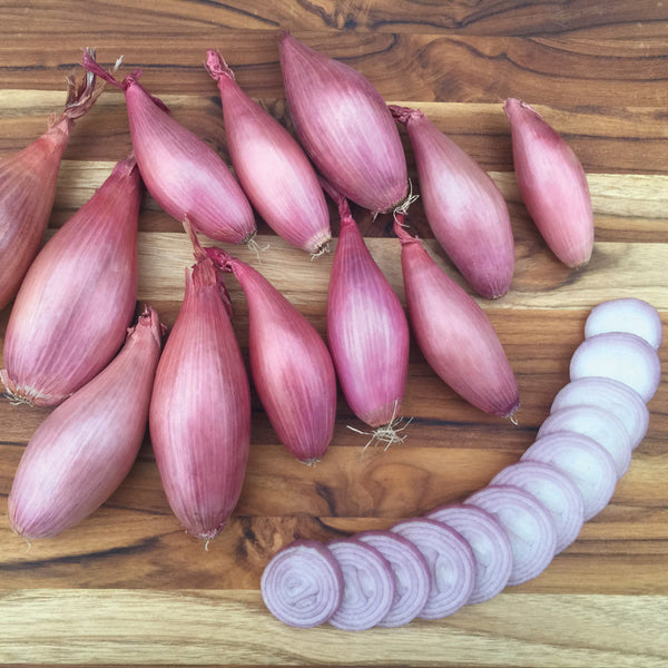 Crème Brûlée Shallot