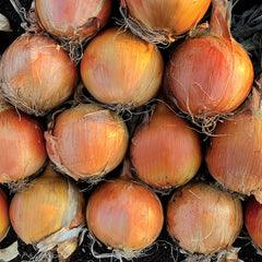 Baggi Onion
