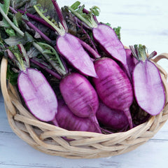 Sweet Baby Daikon Radish