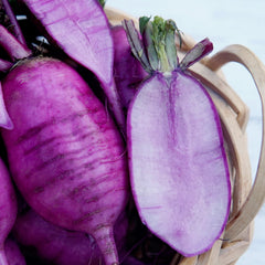 Sweet Baby Daikon Radish