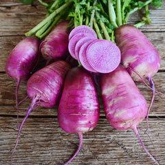 Sweet Baby Daikon Radish
