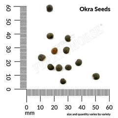 Okra, Clemson Spineless #80 Organic Seeds, 5.3g