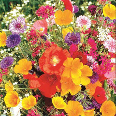 Old Fashioned Garden Mix Seeds, 1.9g