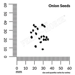 Onion, Evergreen Bunching Organic Seeds, 1.2g