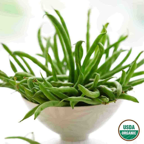 Bean, Bush Blue Lake 274 Organic Seeds, 17.5g