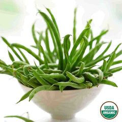 Bean, Bush Blue Lake 274 Organic Seeds, 17.5g