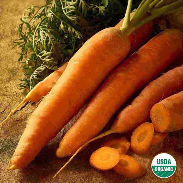 Carrot, Nantes Organic Seeds, 1.3g