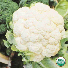 Cauliflower, Snowball Y Organic Seeds, 700mg