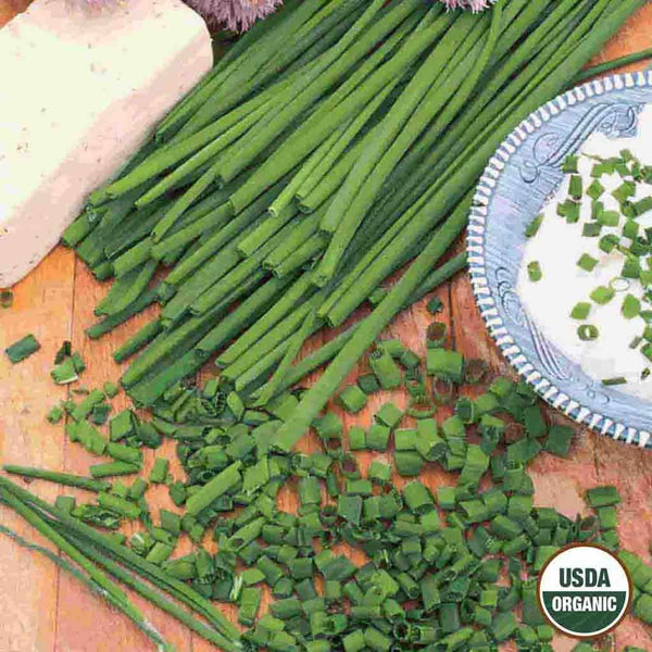 Chives, Organic Seeds, 400mg
