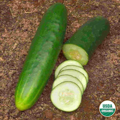 Cucumber, Straight Eight Organic Seeds, 1.4g