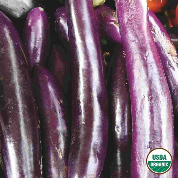 Eggplant, Long Purple Early Organic Seeds, 300mg