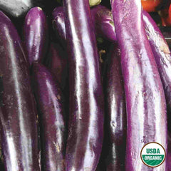 Eggplant, Long Purple Early Organic Seeds, 300mg
