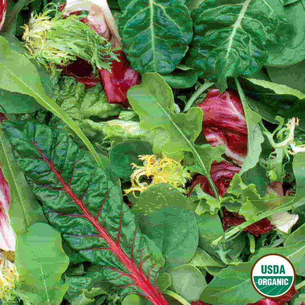 Mesclun, Gourmet Greens Mixture Organic Seeds, 1.8g