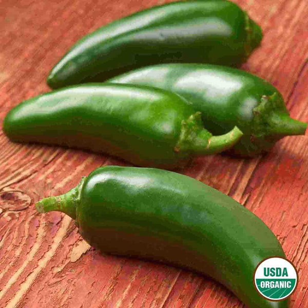 Pepper, Jalapeno Early Organic Seeds, 400mg