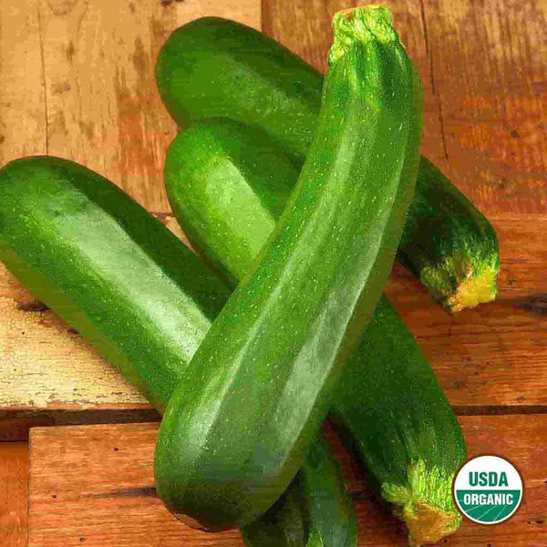 Squash, Dark Green Zucchini Organic Seeds, 5.3g