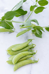 Sugar Ann Organic