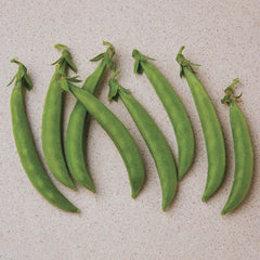 Snak Hero Pea
