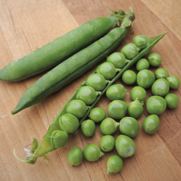 Green Arrow Pea