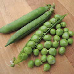 Green Arrow Pea
